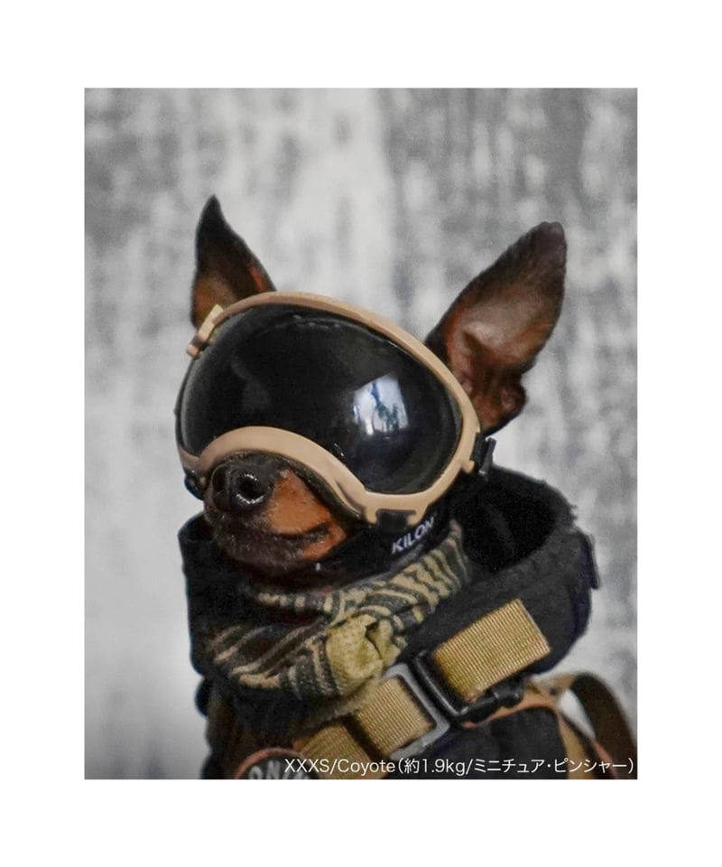 KILONINER キロナイナー ドッグ シグネチャーゴーグル コヨーテ XXS