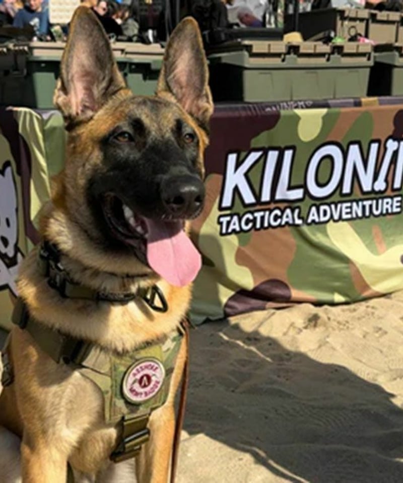 KILONINER（キロナイナー）2023モデル M1 Light Speed Harness