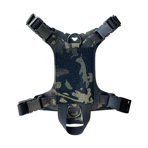 fit=scale-down,w=1200