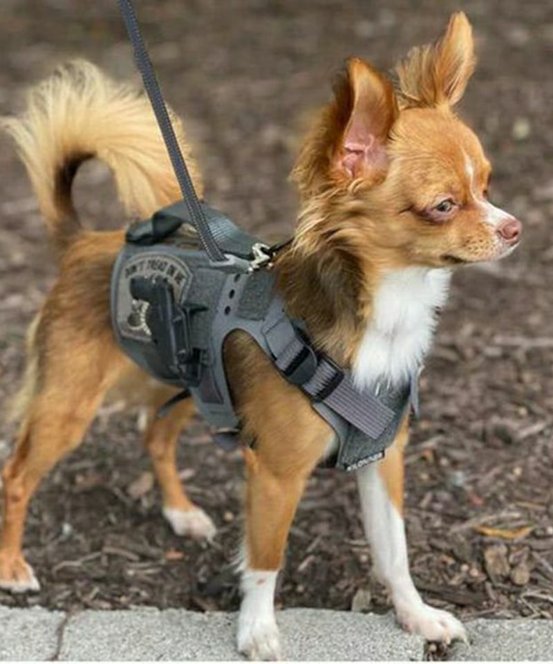 KILONINER 犬用ハーネス M5 Light Vest あつ様 KILONINER(キロナイナー）M5 Light Vest M5ライトヴェスト