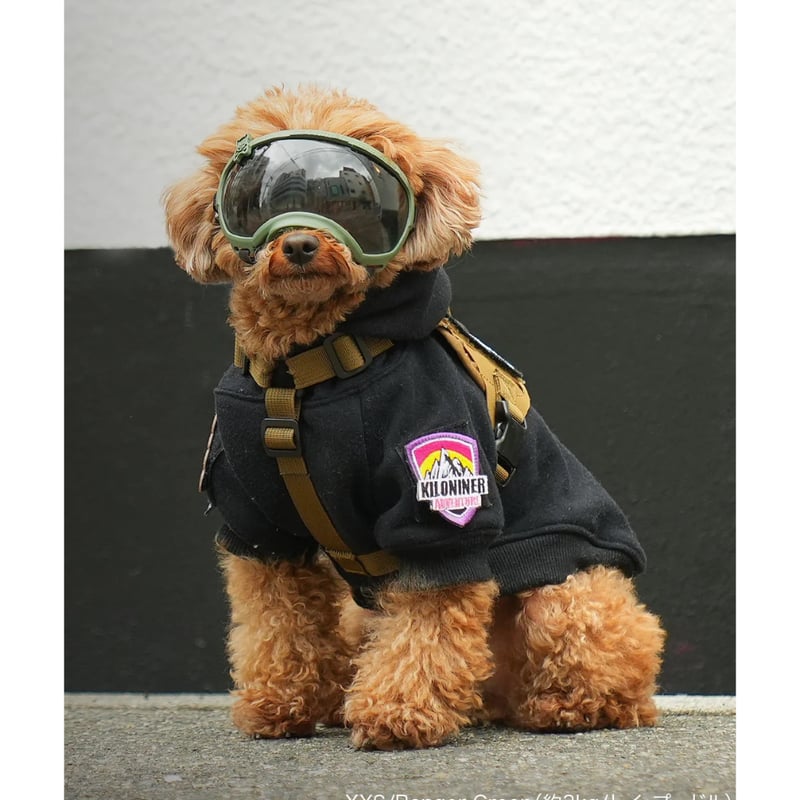 KILONINER(キロナイナー) Signature Goggles 小型犬用ペット用ゴーグ