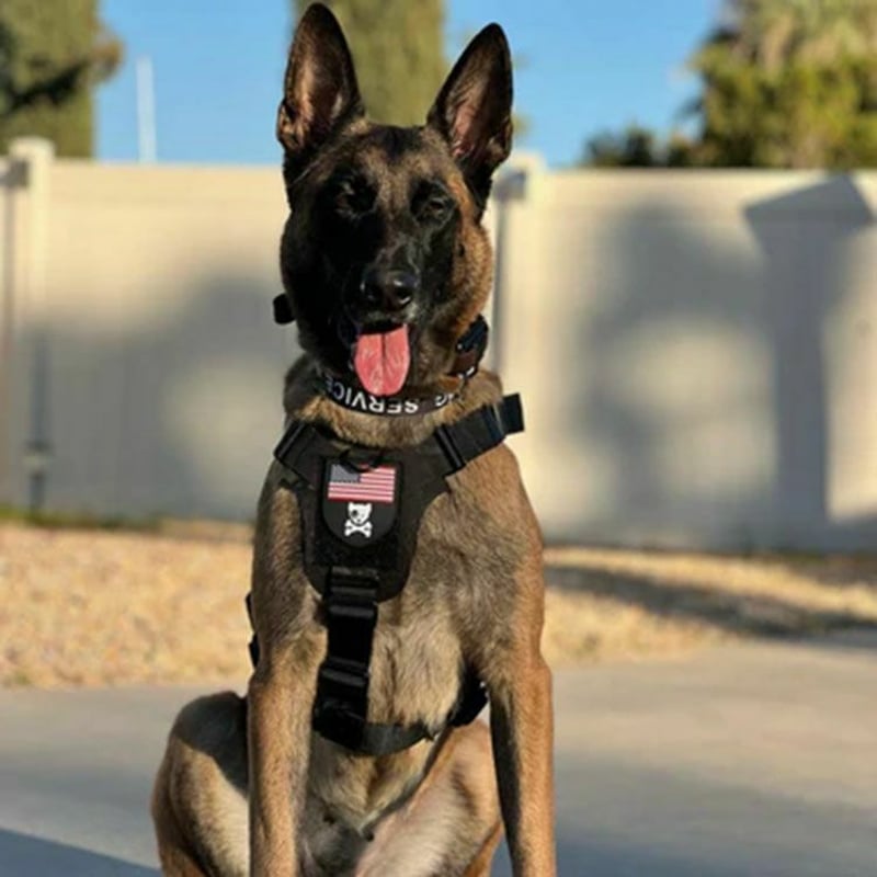 KILONINER（キロナイナー）2023モデル M1 Light Speed Harness