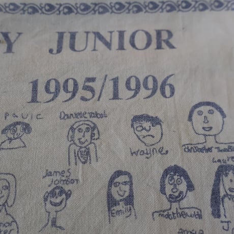 Used Tea Towel