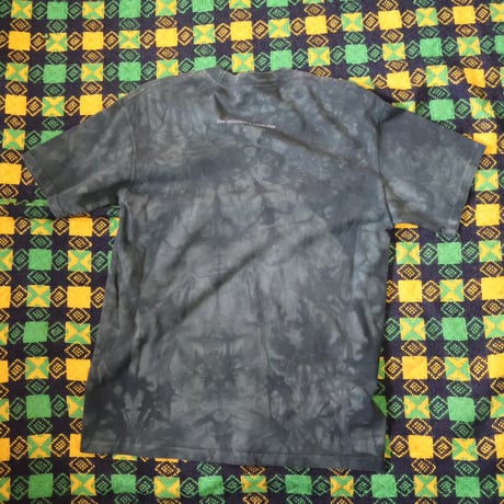 “THE MOUNTAIN Tiger” Used T-Shirt