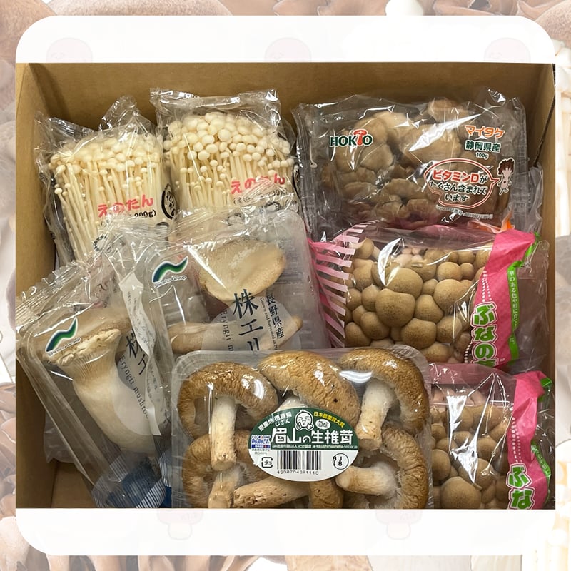 ヤマト イオリきのこコラボグッズ 食の秋！読書の秋！セット | イオリ