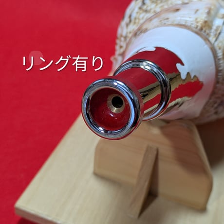 法螺貝 | STORES