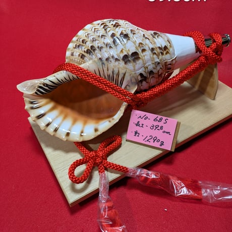 CATEGORY 法螺貝 | 無双庵