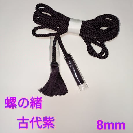 法螺貝② 法螺貝（ほら貝）販売のお店