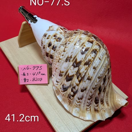 法螺貝 修験道 今週、聖護院の修験道の山伏（多くの場合、山伏と呼ばれます）が、支援
