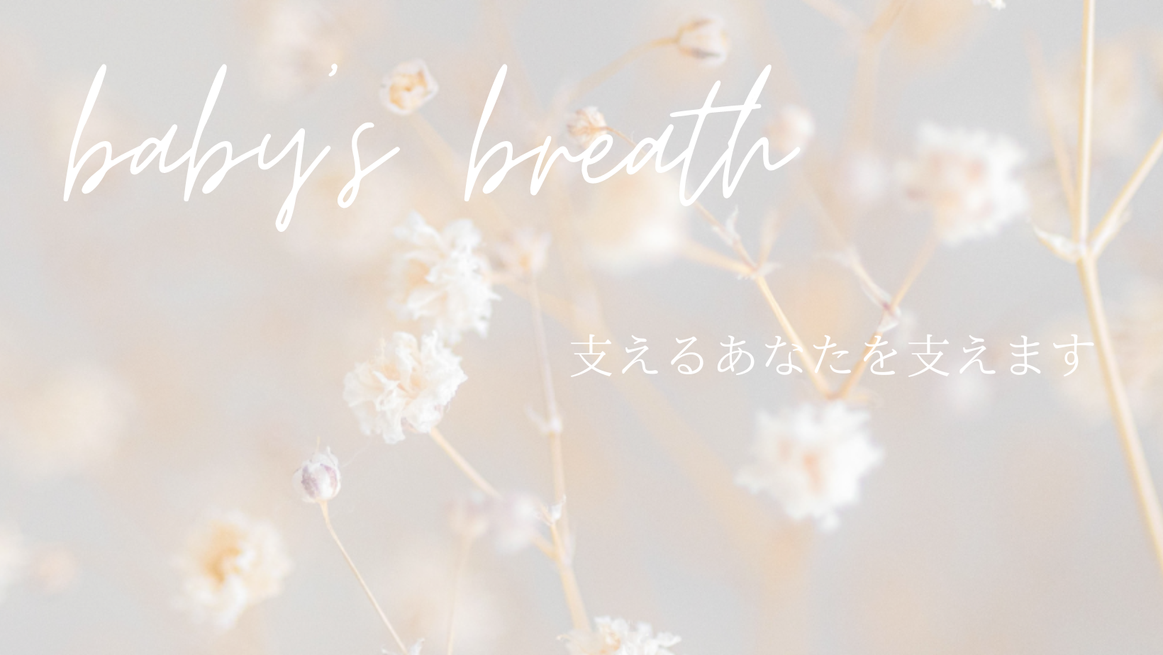 baby's breath