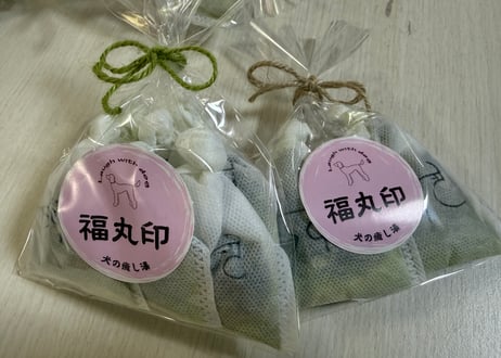 犬の癒し湯