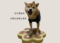 にくきゅうバランスディスク