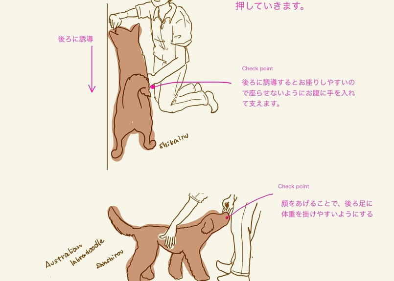 犬のゼロポジションマニュアル | Laughwithdog