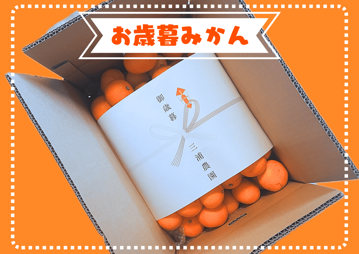 親孝行みかん(中生)5kg 送料別 | NEO CITRUS