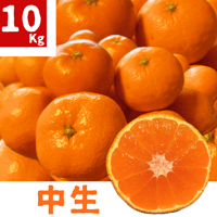 親孝行みかん(中生)10kg 送料別