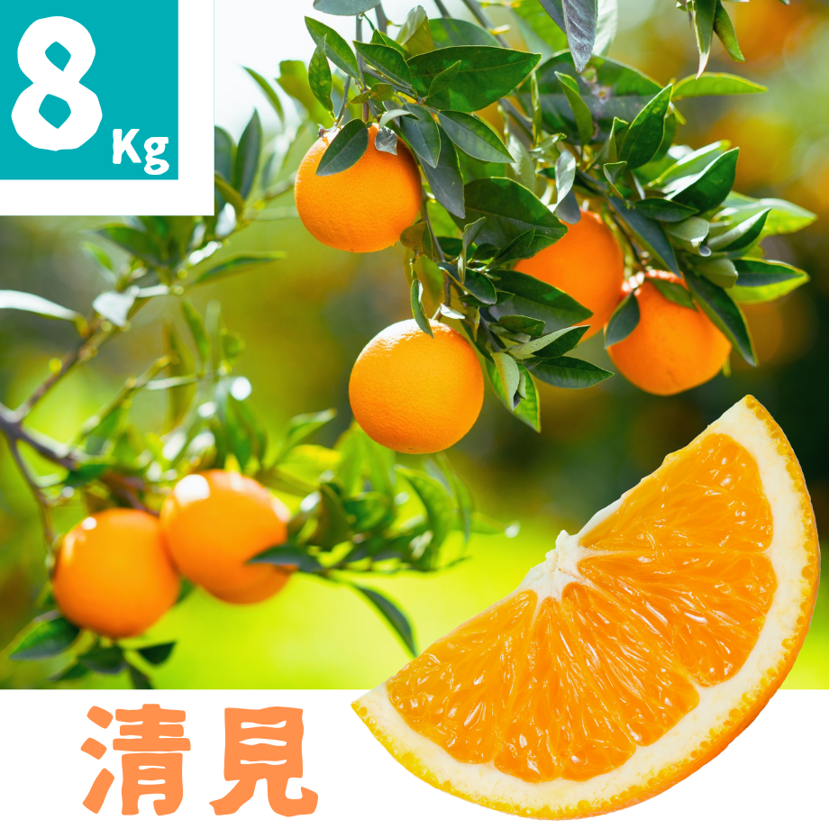 69805601646cf12778525b55