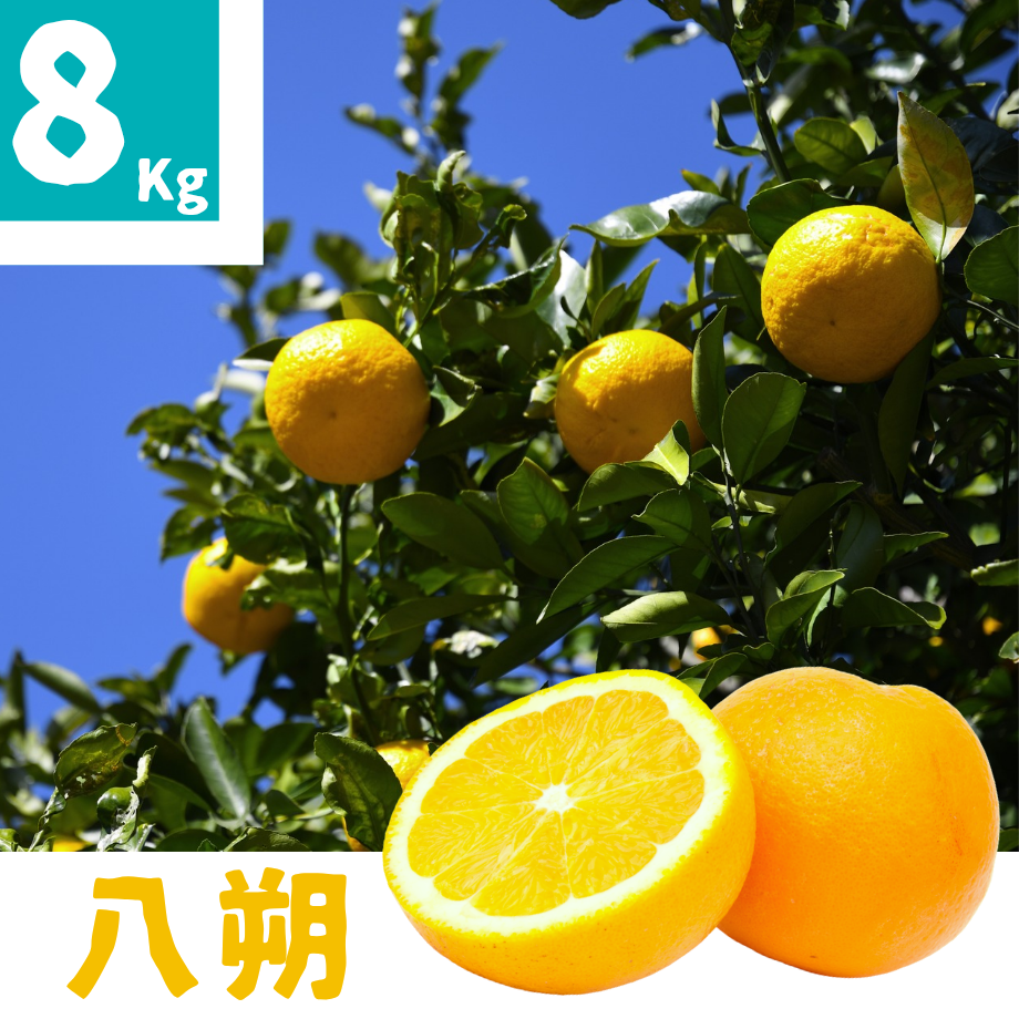 6852cc5a20bc0ffc771c1748