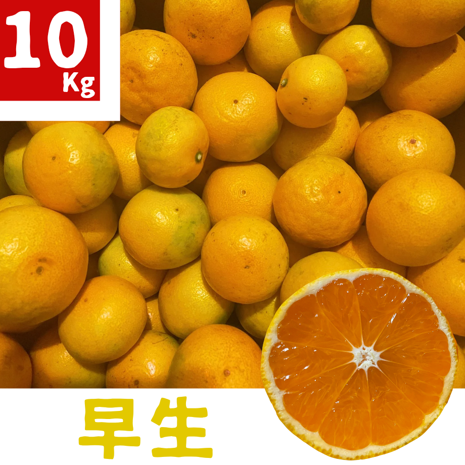 64dd7d591d175c0031411856
