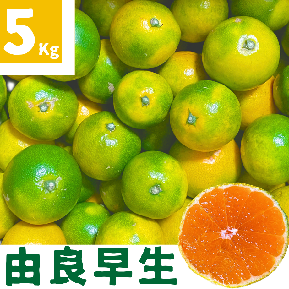 64dcc248df85670096f62378