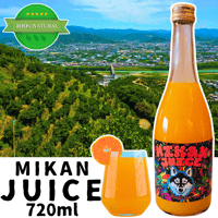 みかんジュース  720ml 《送料込》