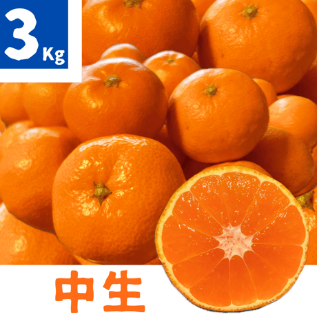 親孝行みかん(中生)3kg 送料別