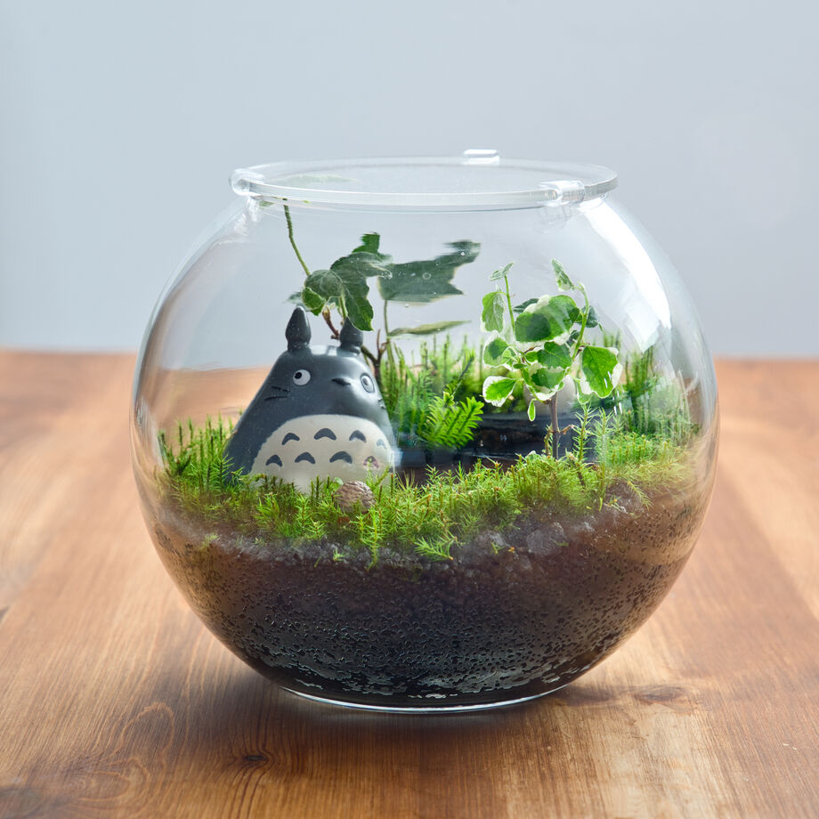 トトロの森テラリウム 隠れクロスケ 石段に乗る小トトロの世界 | 苔latte