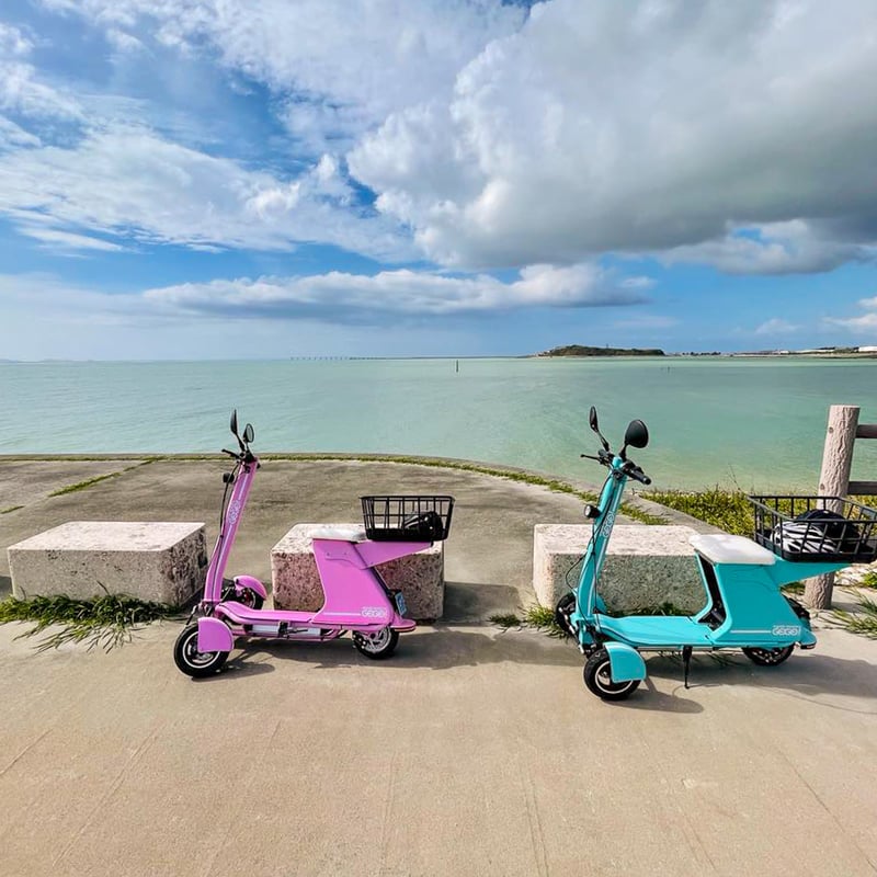 GOGO！R | FUTURE MOBILITY ESHOP