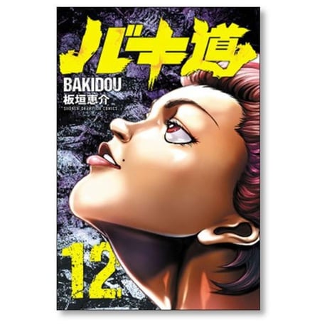 バキ道 板垣恵介 [1-17巻 漫画全巻セット/完結] BAKIDOU ばきどう