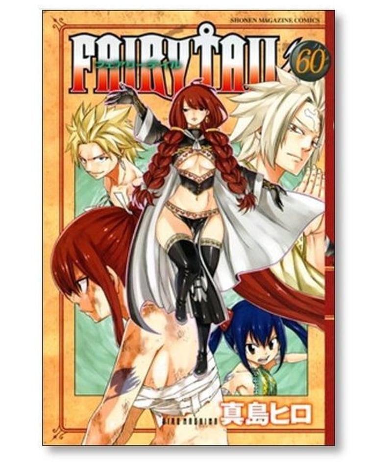 FAIRY TAIL フェアリーテイル 全巻セット-