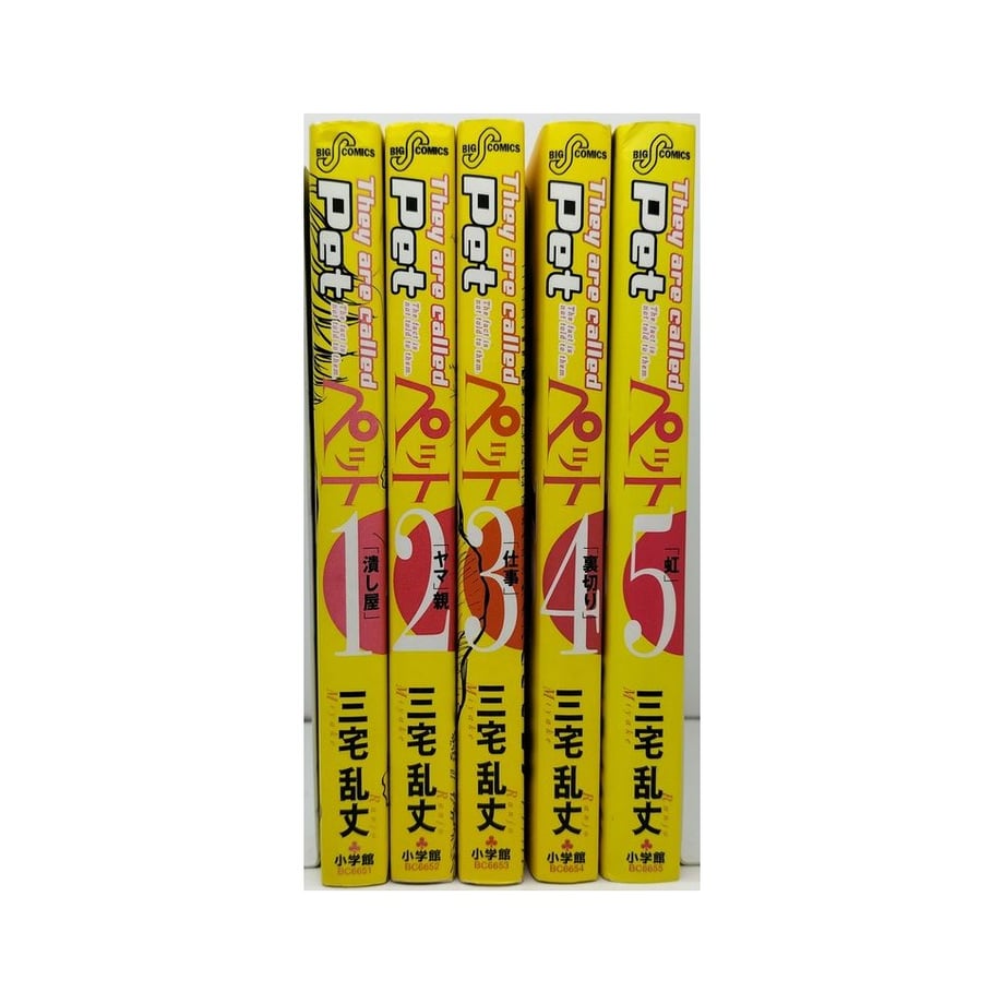 65452a5ec2d1e42101b5531e
