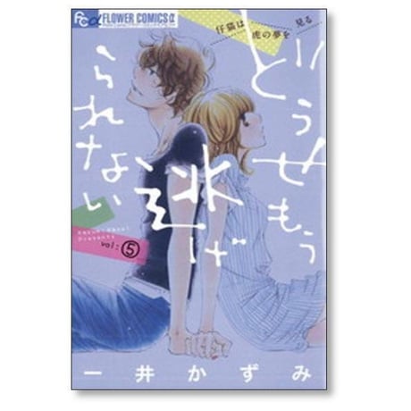どうせもう逃げられない 一井かずみ [1-10巻 漫画全巻セット/完結]