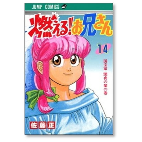 燃える お兄さん 佐藤正 [1-19巻 漫画全巻セット/完結]