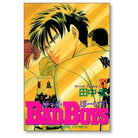 バッドボーイズ 田中宏 [1-22巻 漫画全巻セット/完結]