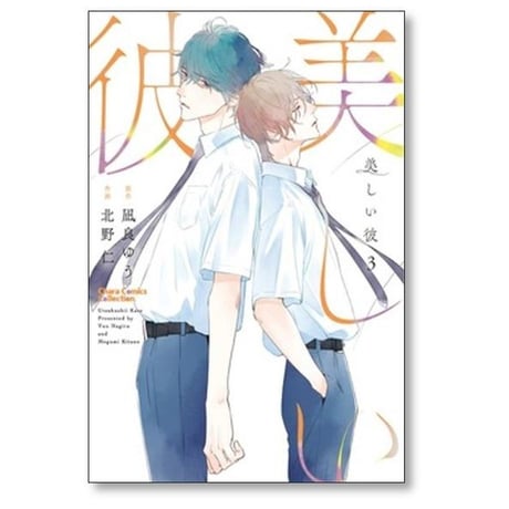 美しい彼 北野仁 [1-4巻 コミックセット/未完結] 凪良ゆう