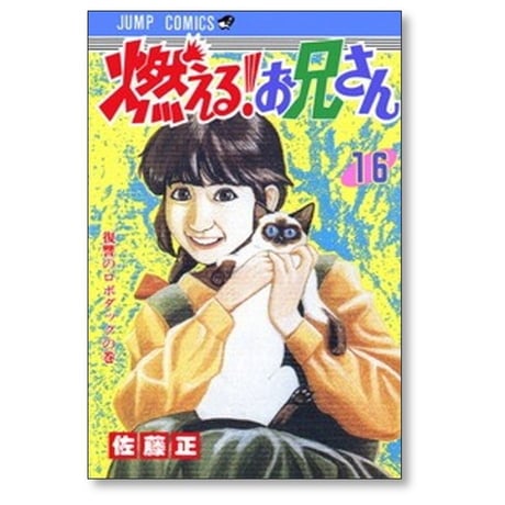 燃える お兄さん 佐藤正 [1-19巻 漫画全巻セット/完結]