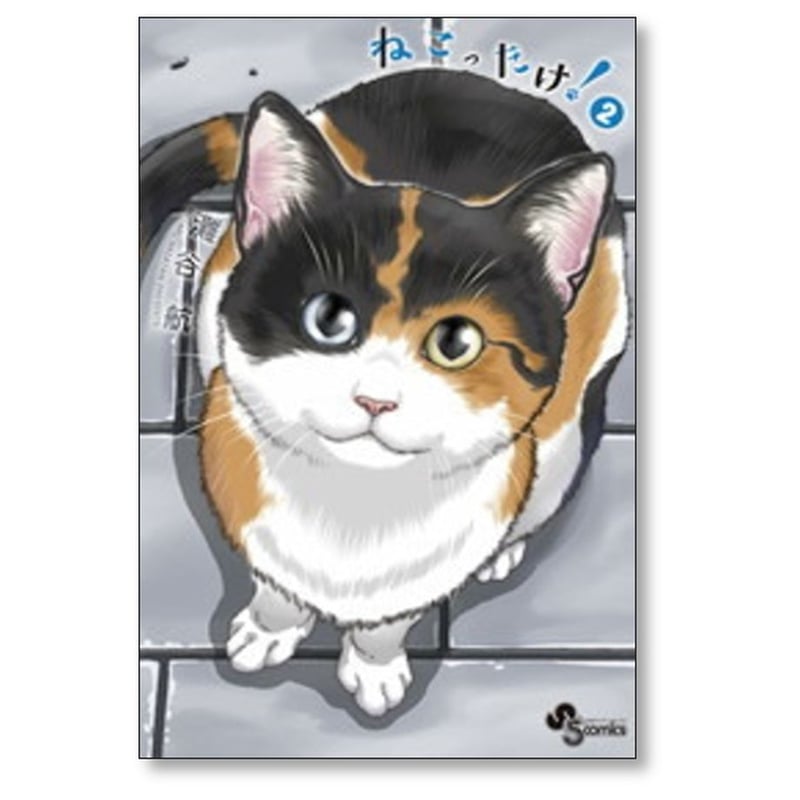 ねこったけ 灘谷航 [1-6巻 漫画全巻セット/完結] | 漫画専門店