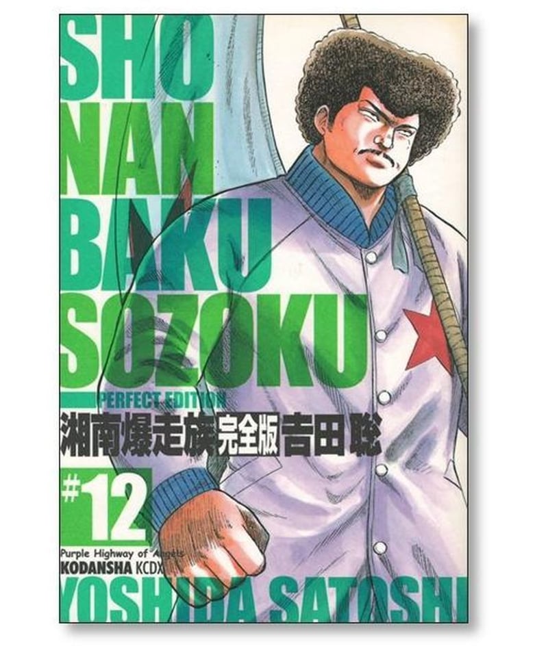 湘南爆走族 完全版 1-14全巻セット 別巻付き 吉田聡