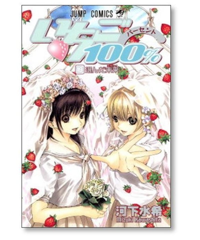 いちご100% 1~19巻 漫画 全巻セット 飛びつい ジャンプ いちご100% 1~19巻 漫画 全巻セット 飛びつい ジャンプ