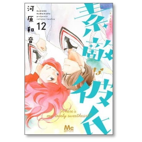 素敵な彼氏 河原和音 [1-14巻 漫画全巻セット/完結]