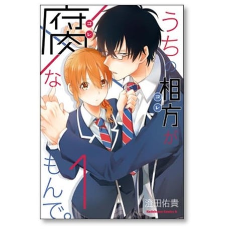 うちの相方が腐なもんで 澄田佑貴 [1-5巻 漫画全巻セット/完結] うちのコレがコレなもんで