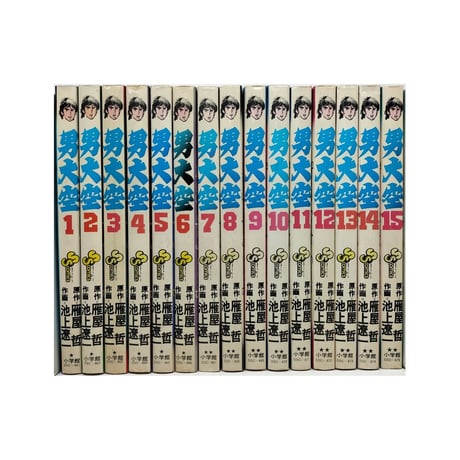 男大空 池上遼一 [1-15巻 漫画全巻セット/完結] 雁屋哲
