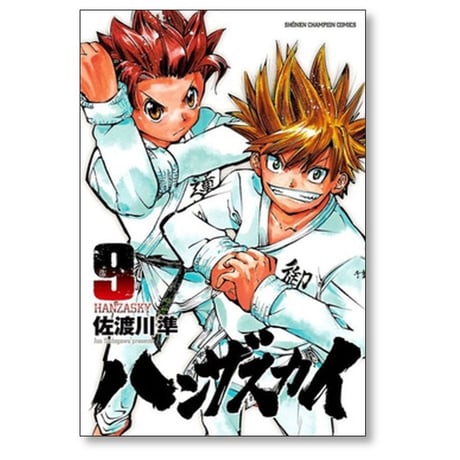 ハンザスカイ 佐渡川準 [1-13巻 漫画全巻セット/完結]