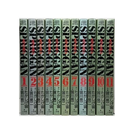 スプリガン 皆川亮二 [1-11巻 漫画全巻セット/完結] SPRIGGAN