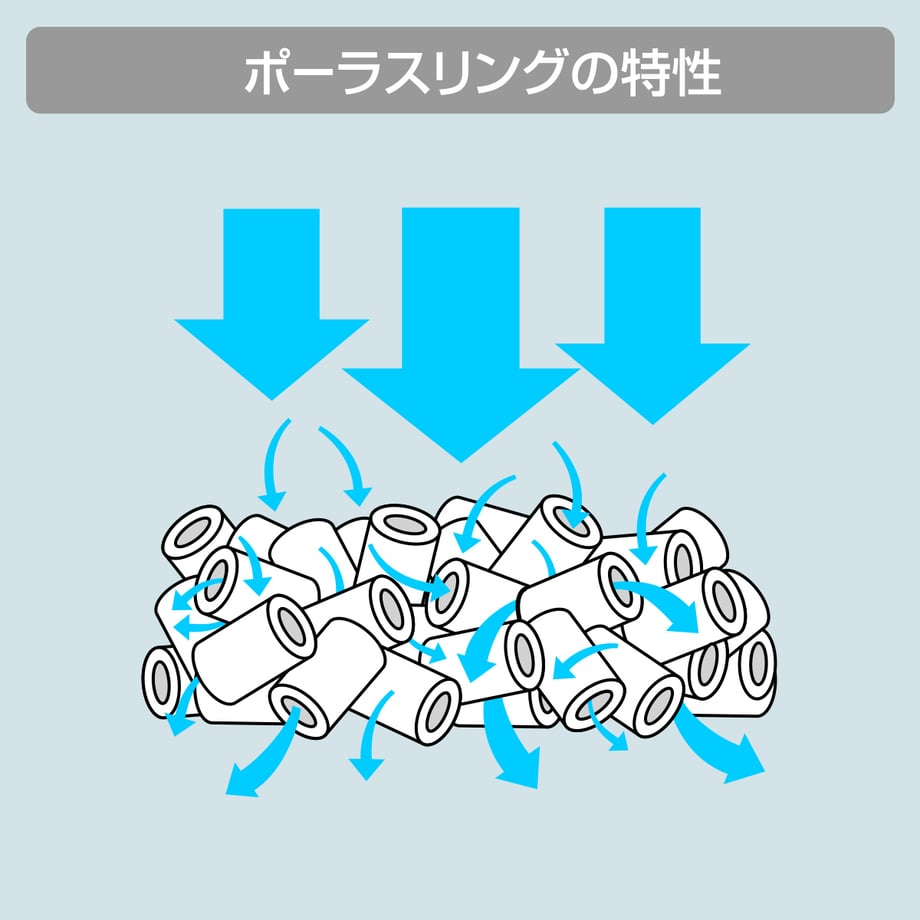 67c19df73f7c4d04d749dc81