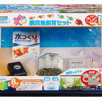 ニューきんぎょファミリーL