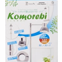 こもれび