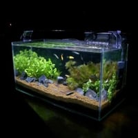 デラックスⅡ熱帯魚セット