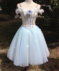 ネイビーブルーのロマンチックチュチュ | Jardin des Costumes, Renta