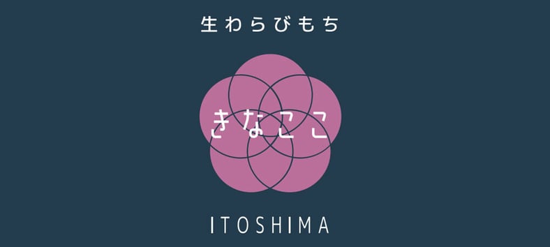 きなここ 生わらびもち きなここ