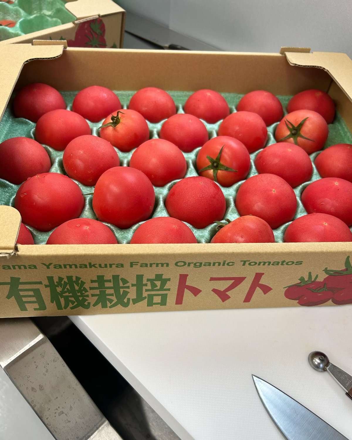 とまと様ご依頼品 トマトの王様 ギフトボックス1箱5個入り | 馳走